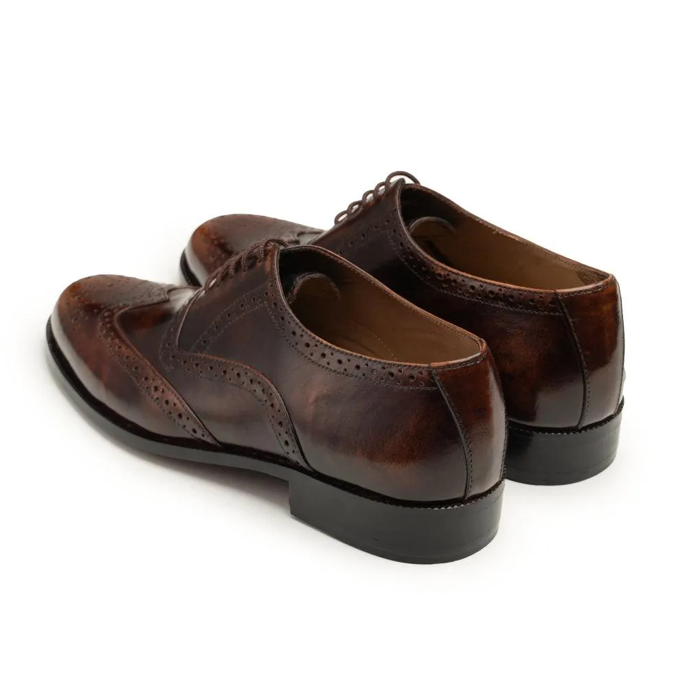 Brogues - 023 BRN