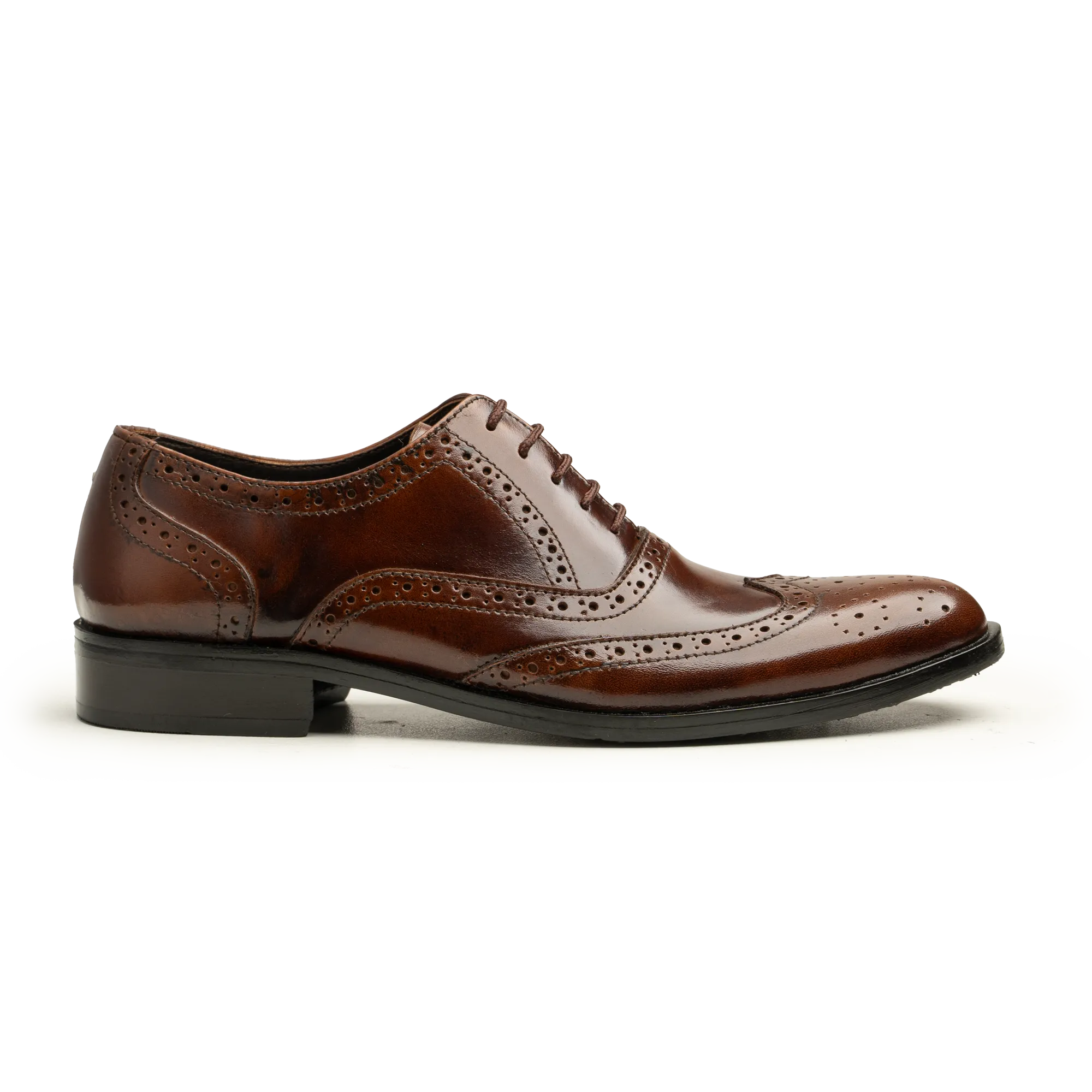 Brogues - AM 3 TOTON